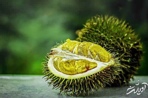 فواید دوریان